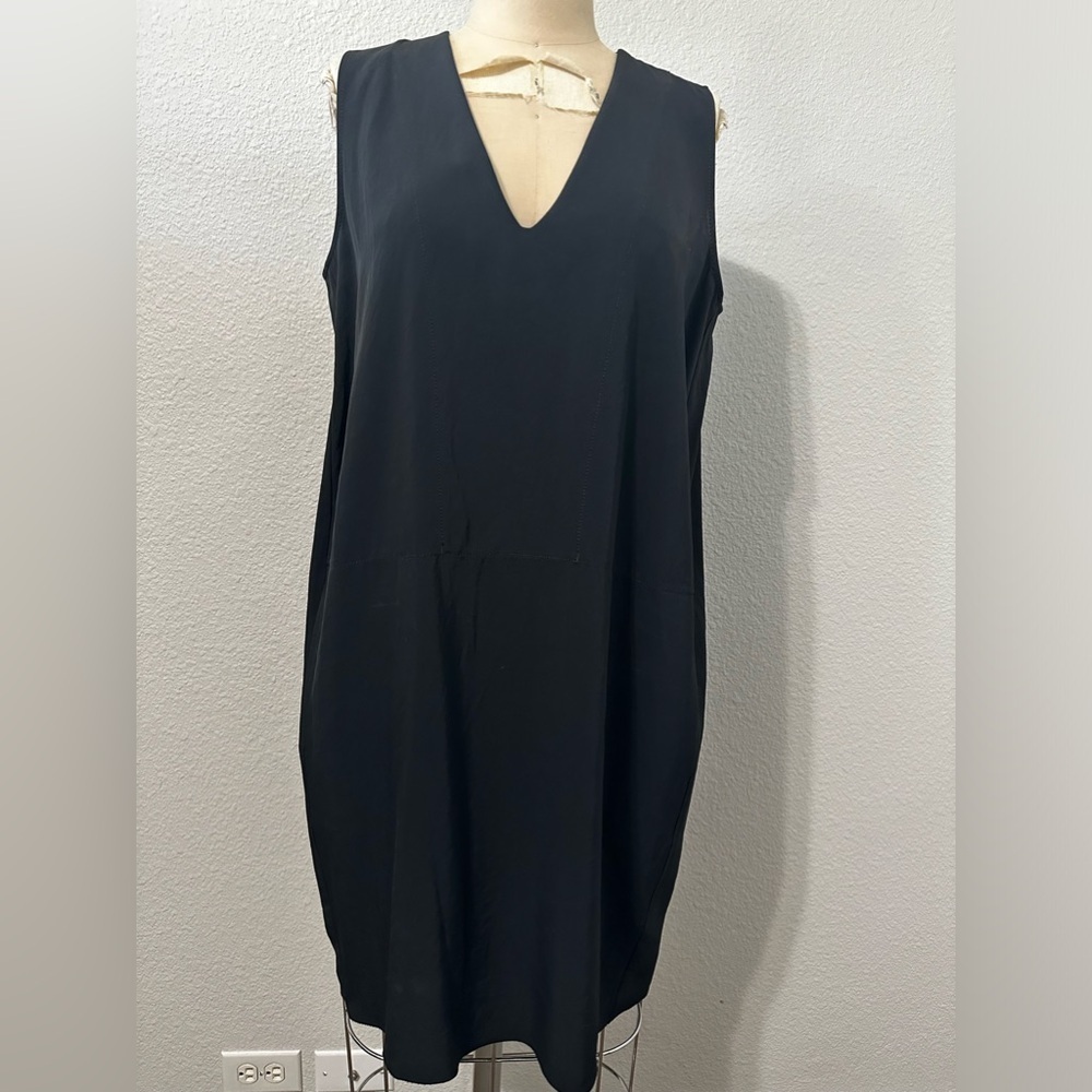 Everlane Black Knee Length Sheath Dress.